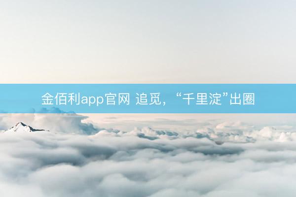 金佰利app官网 追觅，“千里淀”出圈