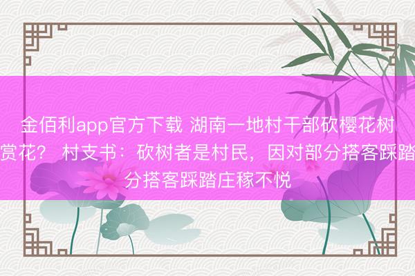 金佰利app官方下载 湖南一地村干部砍樱花树阻碍搭客赏花？ 村支书：砍树者是村民，因对部分搭客踩踏庄稼不悦