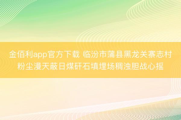 金佰利app官方下载 临汾市蒲县黑龙关寨志村粉尘漫天蔽日煤矸石填埋场稠浊胆战心摇