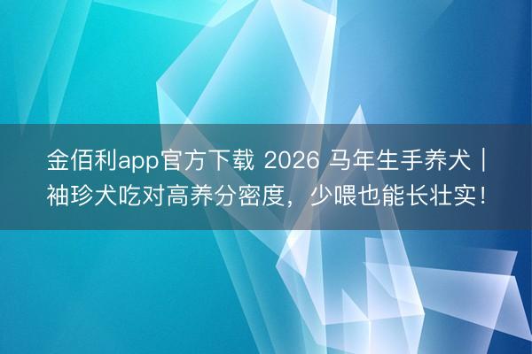 金佰利app官方下载 2026 马年生手养犬｜袖珍犬吃对高养分密度，少喂也能长壮实！