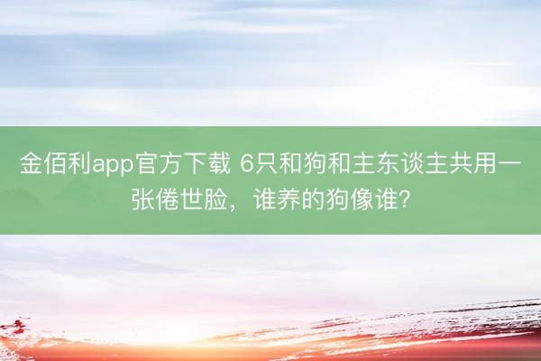 金佰利app官方下载 6只和狗和主东谈主共用一张倦世脸，谁养的狗像谁？