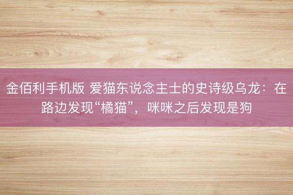 金佰利手机版 爱猫东说念主士的史诗级乌龙：在路边发现“橘猫”，咪咪之后发现是狗