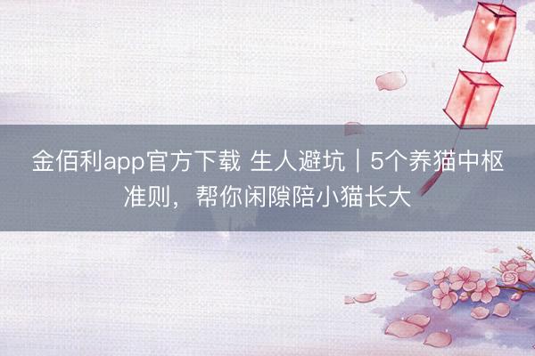 金佰利app官方下载 生人避坑｜5个养猫中枢准则，帮你闲隙陪小猫长大